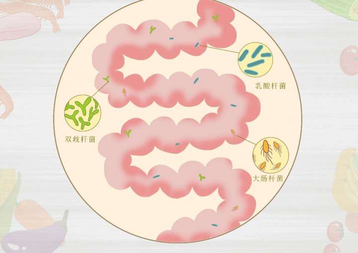 國(guó)家級名老中醫王莒生教授暢談藏在腸道(dào)菌群裡(lǐ)的健康密碼